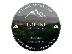 LOT-LN3