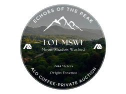 LOT-MSW1