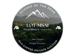 LOT-MSA1