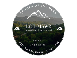 LOT-MSW2
