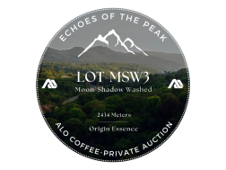 LOT-MSW3