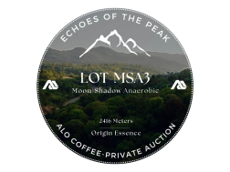 LOT-MSA3